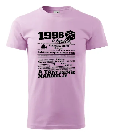 1996 v kostce