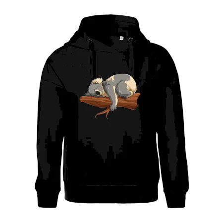 Koala na větvi