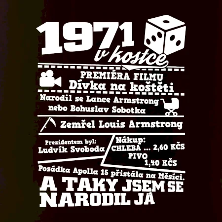 1971 v kostce