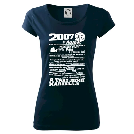 2007 v kostce