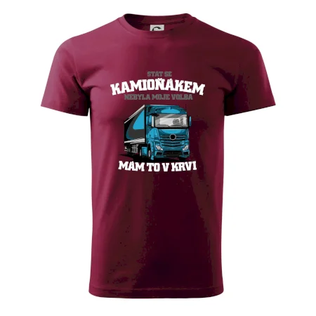 Stát se kamioňákem nebyla moje volba