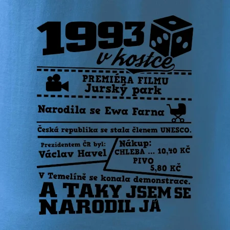 1993 v kostce