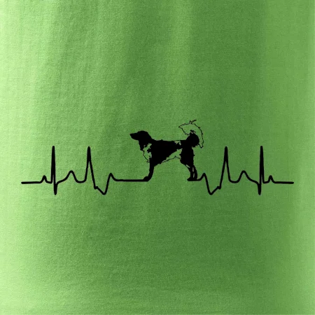 Český strakatý pes EKG