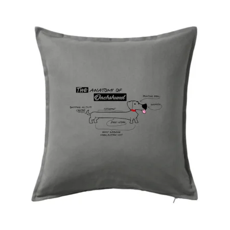 Jezevčík - Anatomie