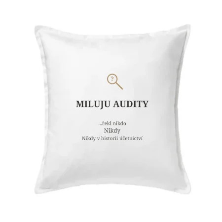 Miluju audity řekl nikdo nikdy