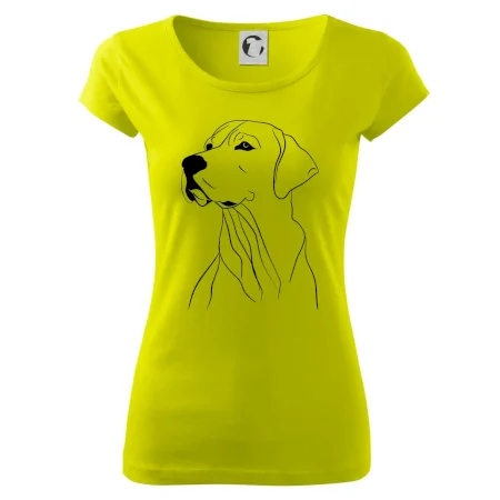 Labrador černá kresba