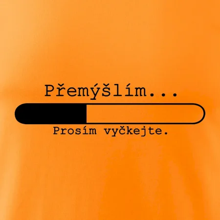 Přemýšlím
