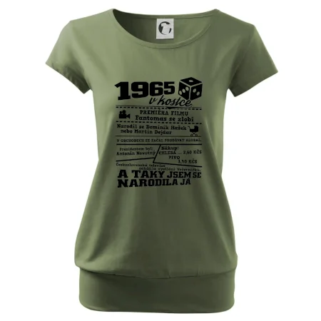 1965 v kostce