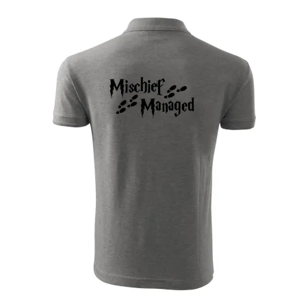 Harry - Mischief Managed