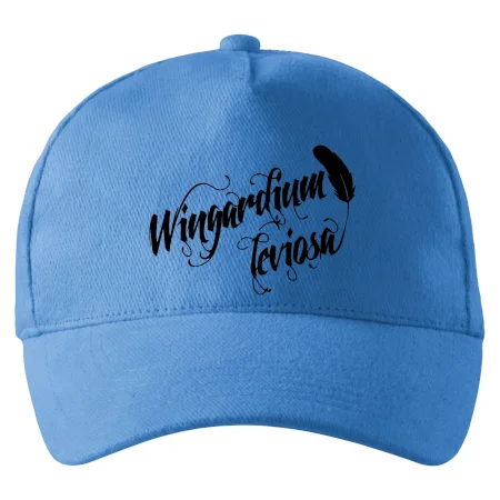 Harry - Wingardium Leviosa