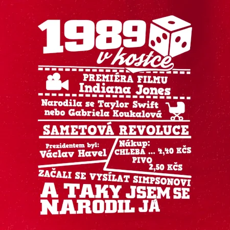 1989 v kostce