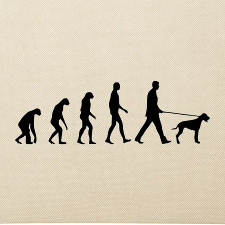 Evoluce pes ohař