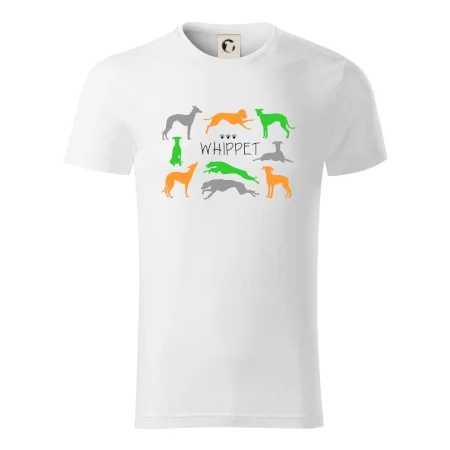 Whippet barevný