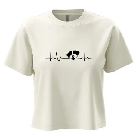 Jack Russell Terriér hrubosrstý Ekg