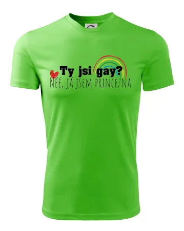 Gay princezna