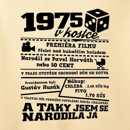 1975 v kostce