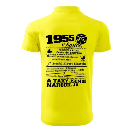 1955 v kostce