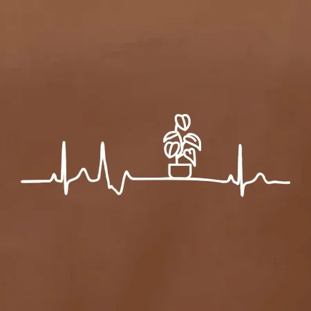 EKG Filodendron