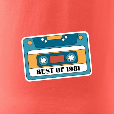 Narozeniny kazeta Best of 1981