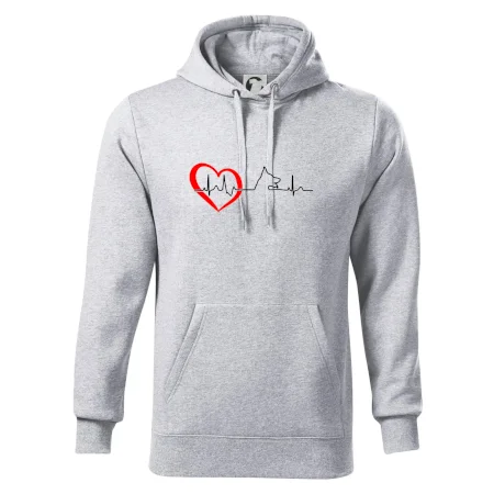 Německý ovčák ekg