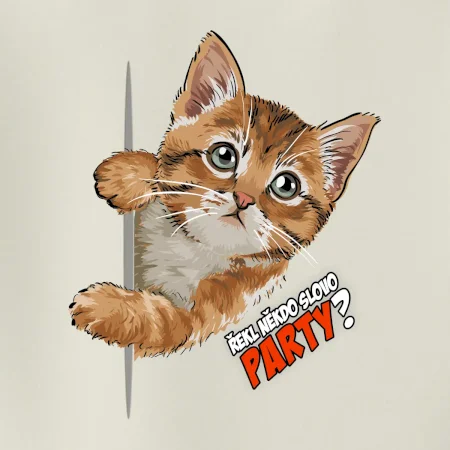 Řekl někdo slovo party