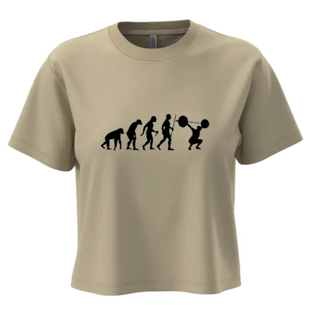 Evolution fitness