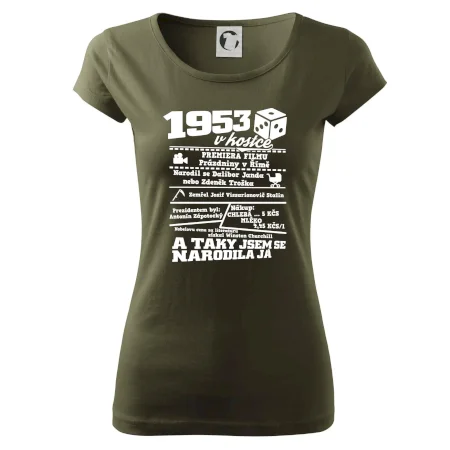1953 v kostce