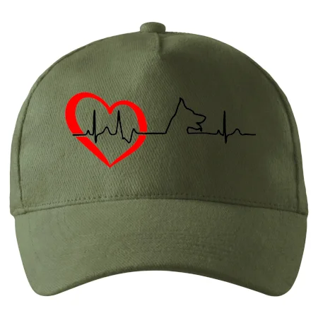 Německý ovčák ekg