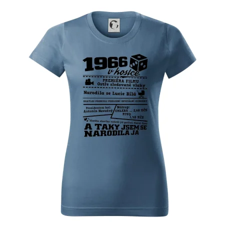 1966 v kostce