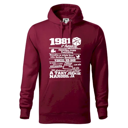 1981 v kostce
