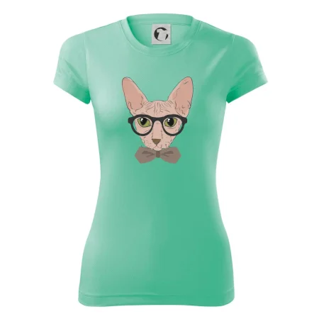 Hipster sphynx