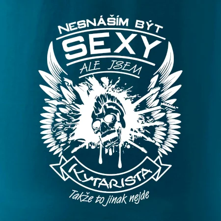 Nesnáším být sexy - kytarista