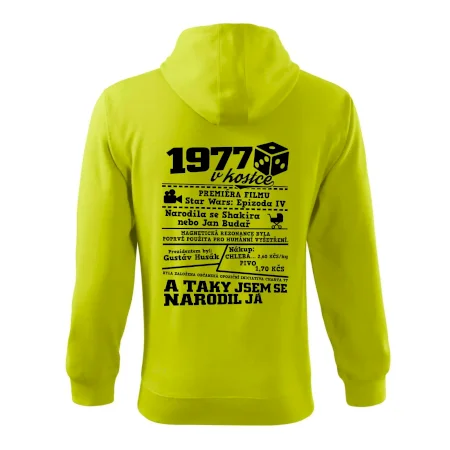 1977 v kostce