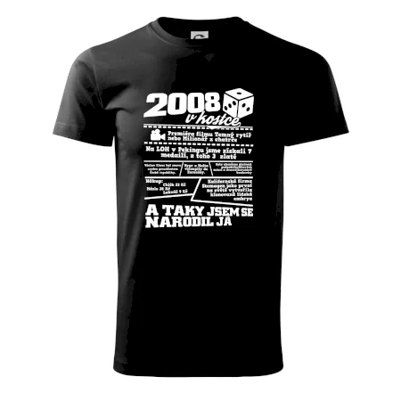 2008 v kostce