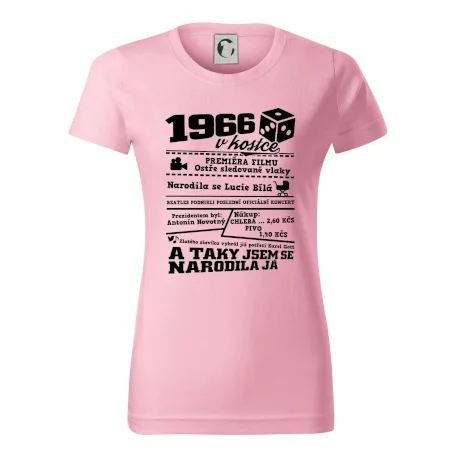 1966 v kostce