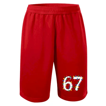 67 vánoční osvětlení
