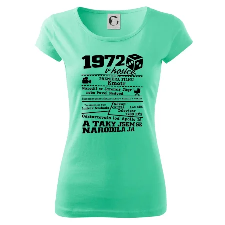 1972 v kostce