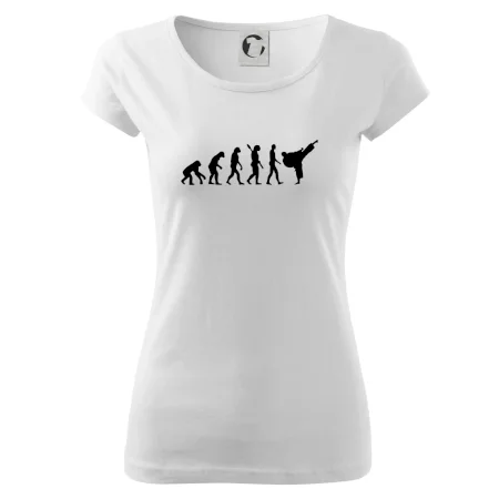 Karate Evoluce - kop
