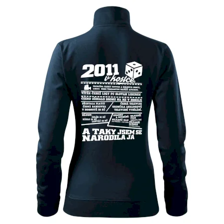 2011 v kostce
