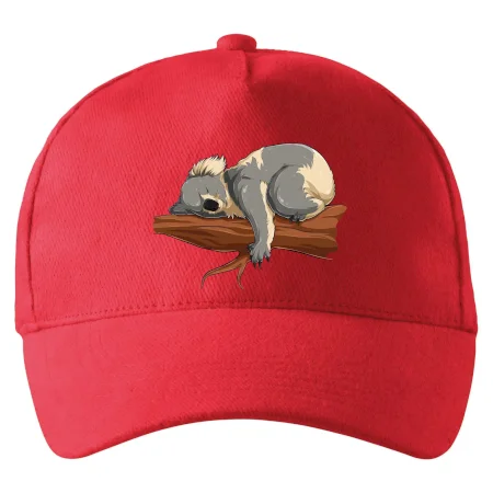 Koala na větvi