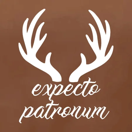 Harry - Expecto patronum
