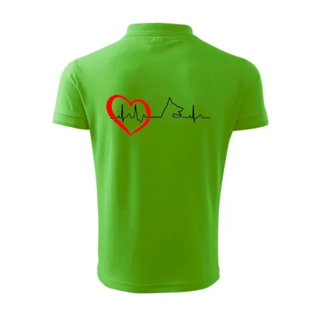Německý ovčák ekg