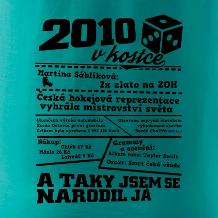2010 v kostce