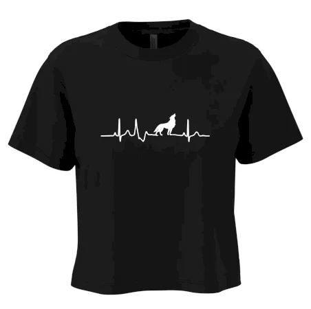 Vlk ekg