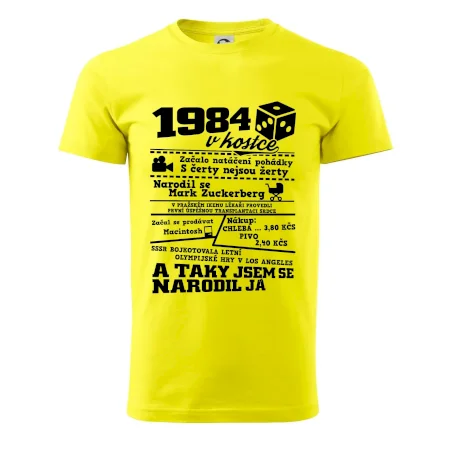 1984 v kostce