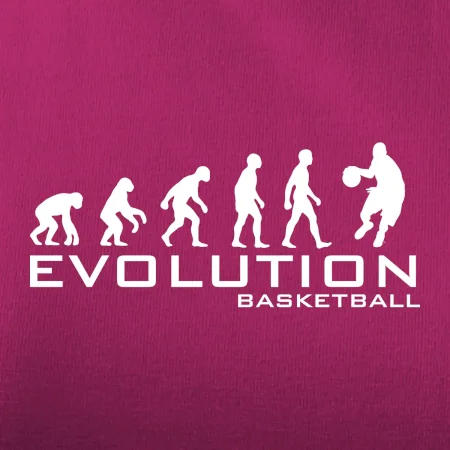 Evoluce Basketball