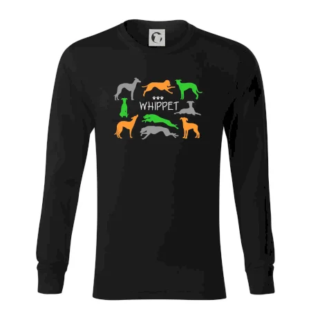 Whippet barevný