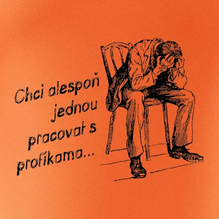 Chci alespoň jednou pracovat s profíkama