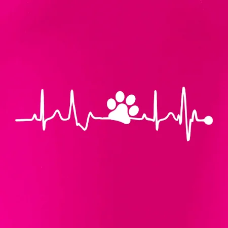 Ekg psí tlapka