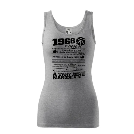 1966 v kostce